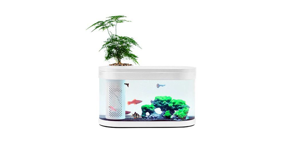 Обзор аква-фермы Xiaomi Eco fish tank и ее основные отличия от Xiaomi Descriptive Geometry Mini Lazy Fish Tank